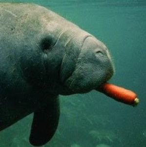 Meet your Posher, Lydia